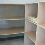 Raisa Опатия